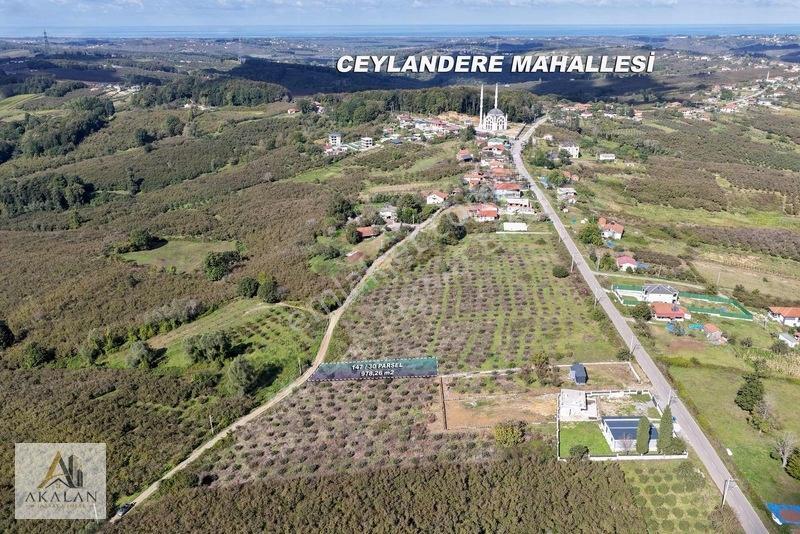 Ceylandere'de Bitişik Konum 5 Ayrı Müstakil Tapulu Marlı Arsalar — fotoğraf 9