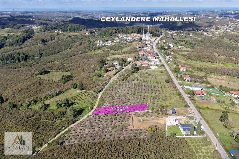 Ceylandere'de Bitişik Konum 5 Ayrı Müstakil Tapulu Marlı Arsalar — fotoğraf 10