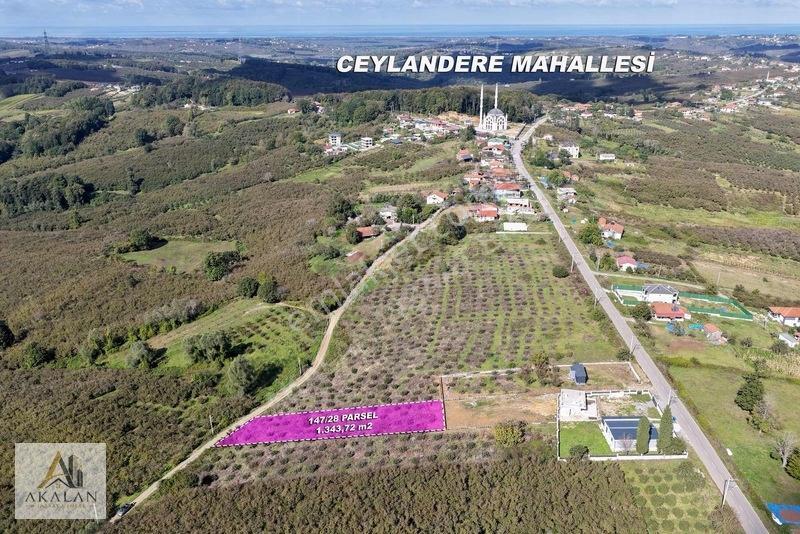Ceylandere'de Bitişik Konum 5 Ayrı Müstakil Tapulu Marlı Arsalar — fotoğraf 11
