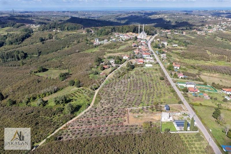Ceylandere'de Bitişik Konum 5 Ayrı Müstakil Tapulu Marlı Arsalar — fotoğraf 13