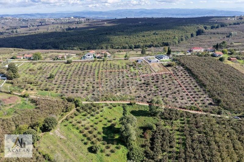 Ceylandere'de Bitişik Konum 5 Ayrı Müstakil Tapulu Marlı Arsalar — fotoğraf 14