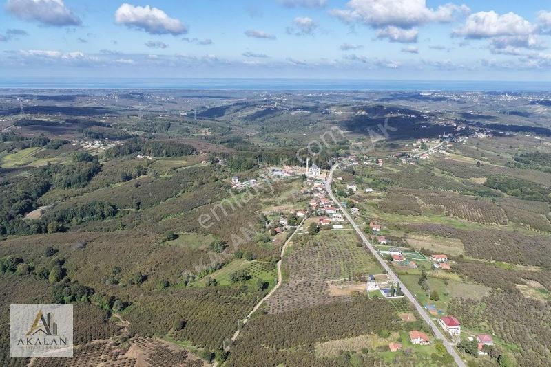 Ceylandere'de Bitişik Konum 5 Ayrı Müstakil Tapulu Marlı Arsalar — fotoğraf 20