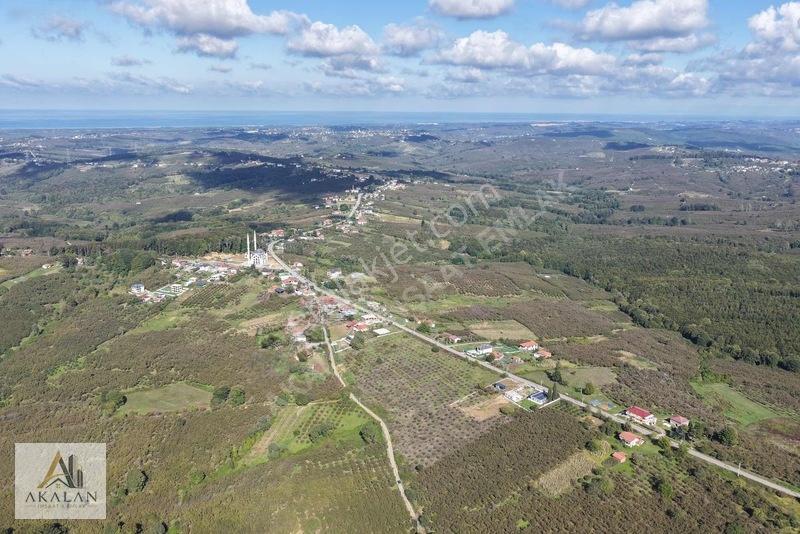 Ceylandere'de Bitişik Konum 5 Ayrı Müstakil Tapulu Marlı Arsalar — fotoğraf 21