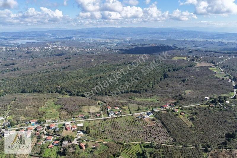 Ceylandere'de Bitişik Konum 5 Ayrı Müstakil Tapulu Marlı Arsalar — fotoğraf 23