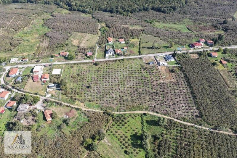 Ceylandere'de Bitişik Konum 5 Ayrı Müstakil Tapulu Marlı Arsalar — fotoğraf 28