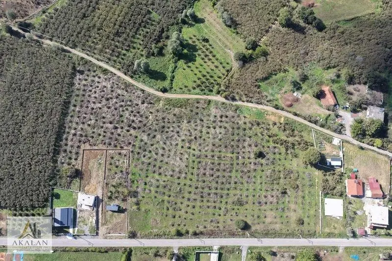 Ceylandere'de Bitişik Konum 5 Ayrı Müstakil Tapulu Marlı Arsalar — fotoğraf 32
