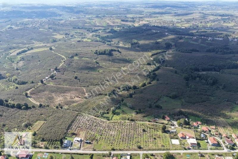 Ceylandere'de Bitişik Konum 5 Ayrı Müstakil Tapulu Marlı Arsalar — fotoğraf 33