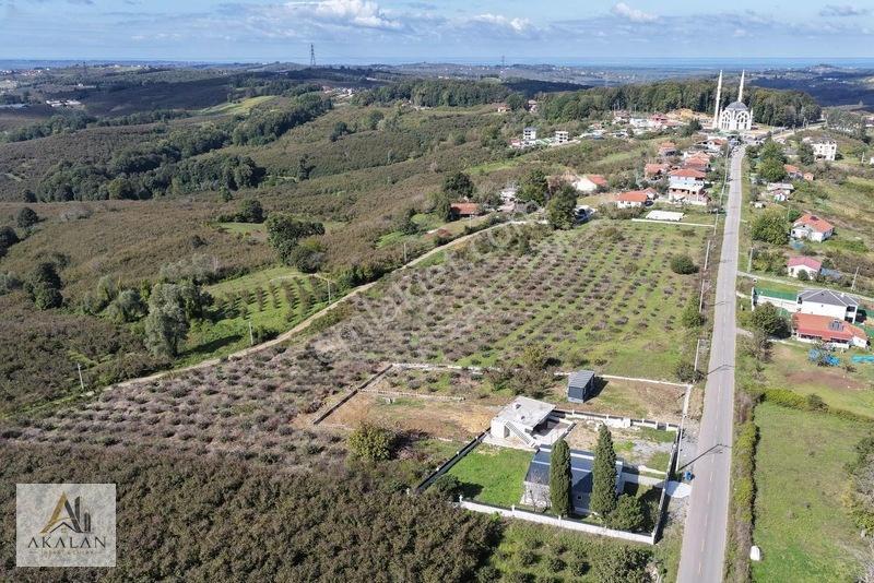 Ceylandere'de Bitişik Konum 5 Ayrı Müstakil Tapulu Marlı Arsalar — fotoğraf 34