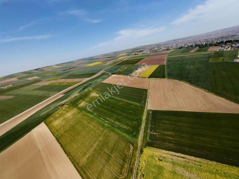 Full Deniz Manzaralı Konteyner Koymaya Uygun Satılık Cadde Arsa — fotoğraf 6