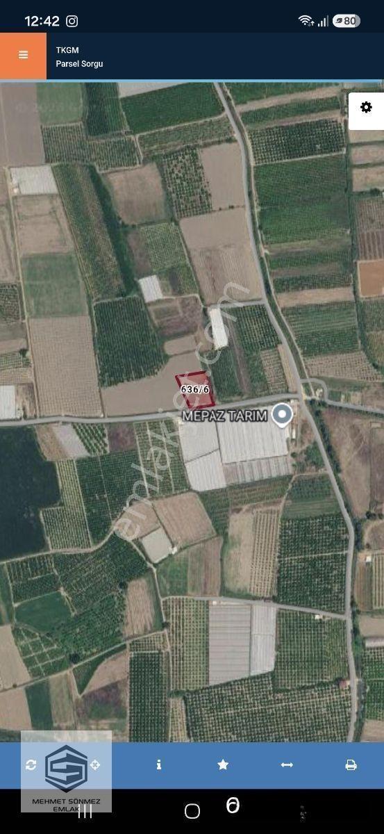 Satılık Serik Abdurrahmanlar Fırsat Tarla