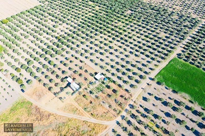 Dayıoğlunda Satılık Son Bahçe — fotoğraf 2