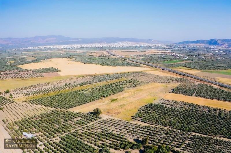 Dayıoğlunda Satılık Son Bahçe — fotoğraf 4