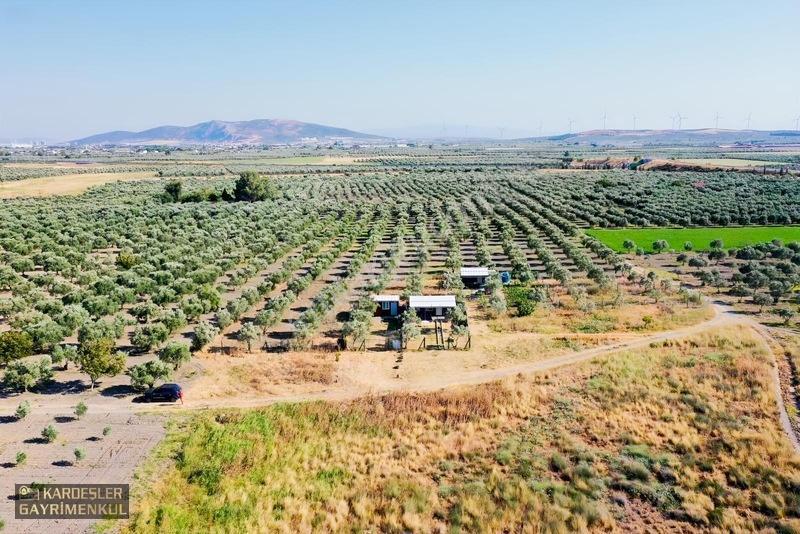 Dayıoğlunda Satılık Son Bahçe — fotoğraf 10
