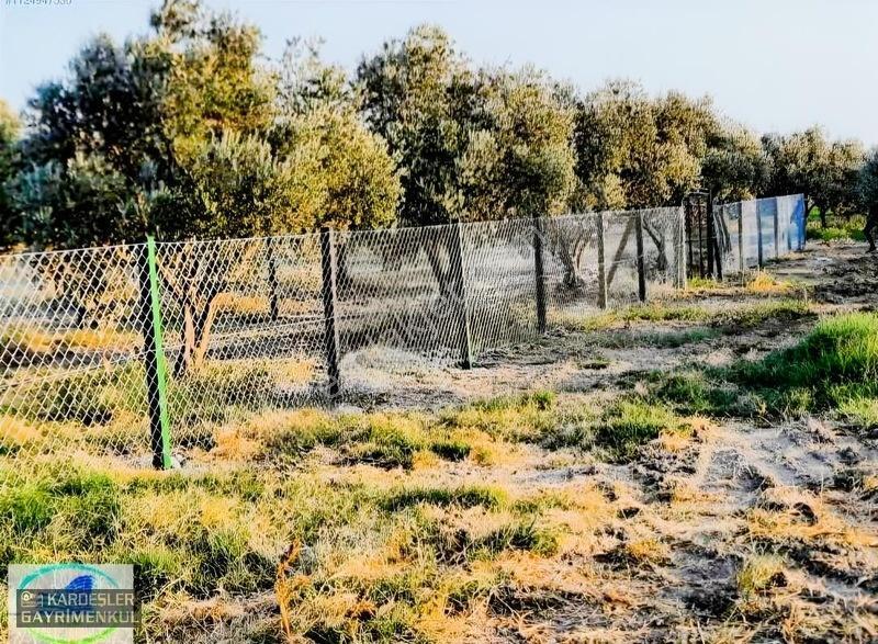 Dayıoğlunda Satılık Son Bahçe — fotoğraf 12