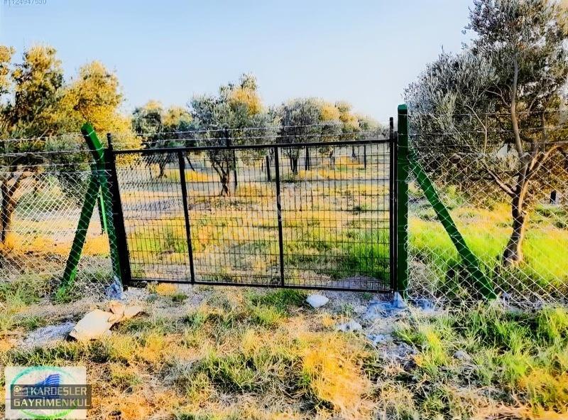 Dayıoğlunda Satılık Son Bahçe — fotoğraf 14