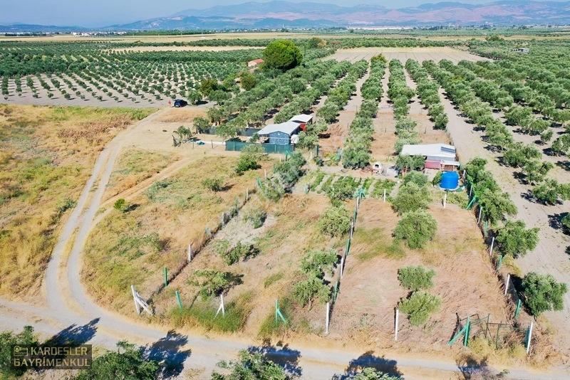 Dayıoğlunda Satılık Son Bahçe — fotoğraf 17