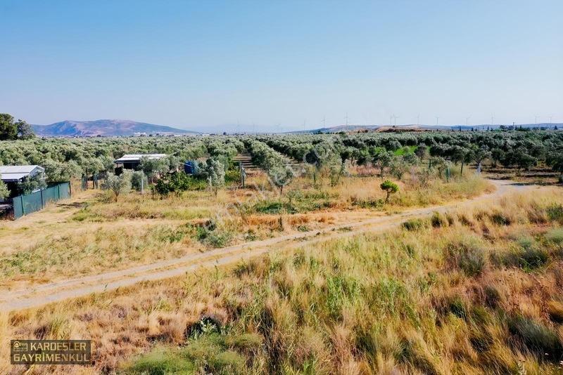Dayıoğlunda Satılık Son Bahçe — fotoğraf 20