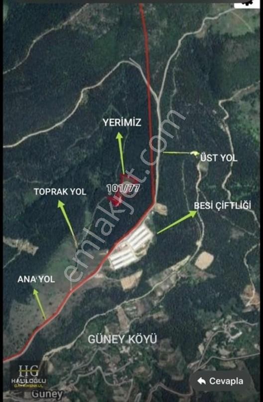 Sakarya Geyve Saraçlı 8.384 M2 Tarla Satılık — fotoğraf 9