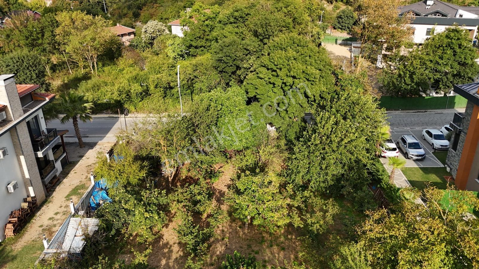 Cb-mark'tan Ağva Plaja Yakın Satılık Turistik T2 İmarlı 1.372 M² — fotoğraf 13