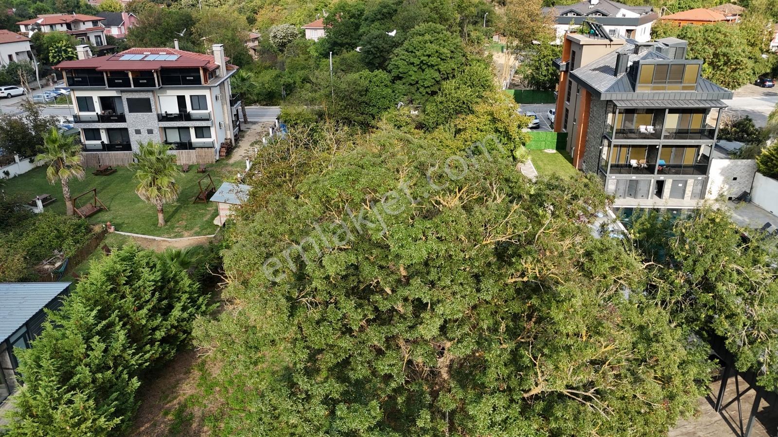 Cb-mark'tan Ağva Plaja Yakın Satılık Turistik T2 İmarlı 1.372 M² — fotoğraf 14