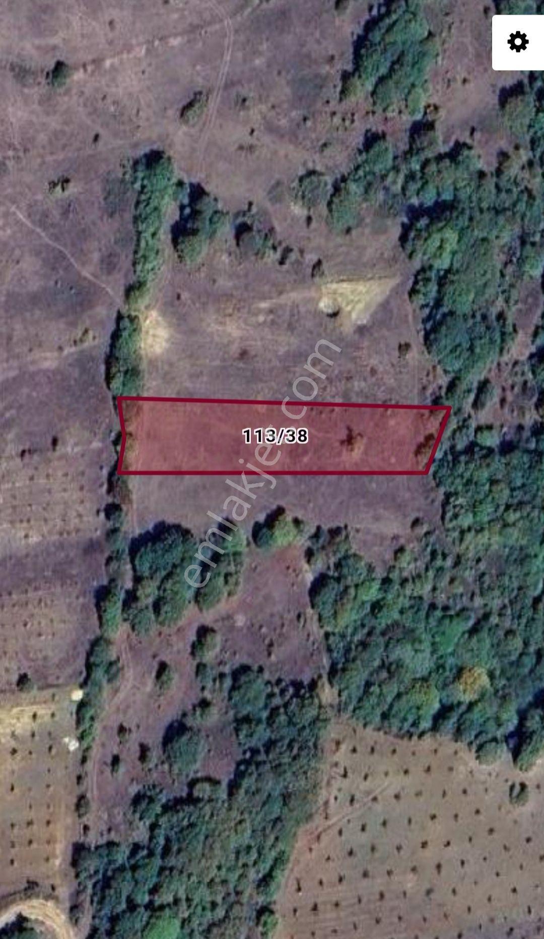 Yenişehir Kirazlı Yayala Da Doğa Manzaralı - 2378 -m2- Tarla — fotoğraf 5