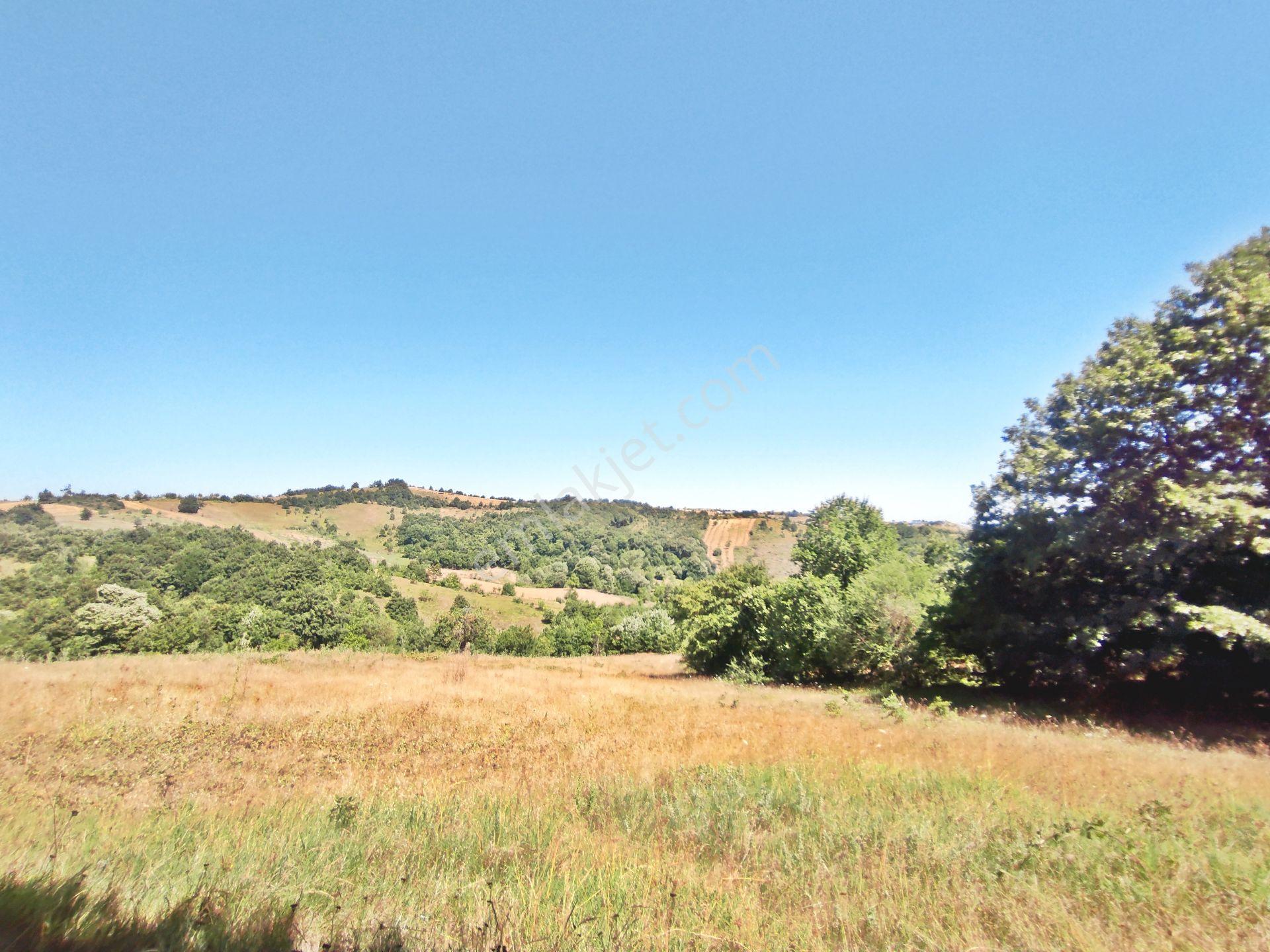 Yenişehir Kirazlı Yayala Da Doğa Manzaralı - 2378 -m2- Tarla — fotoğraf 11