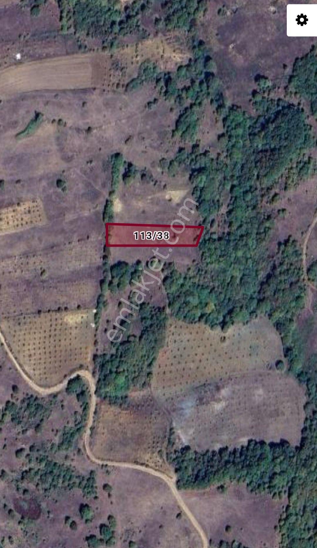 Yenişehir Kirazlı Yayala Da Doğa Manzaralı - 2378 -m2- Tarla — fotoğraf 15