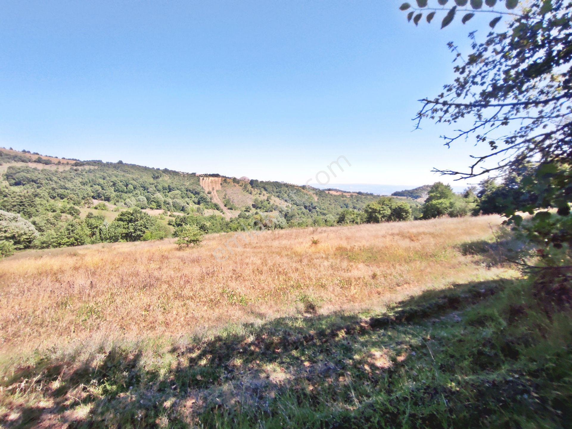 Yenişehir Kirazlı Yayala Da Doğa Manzaralı - 2378 -m2- Tarla — fotoğraf 29