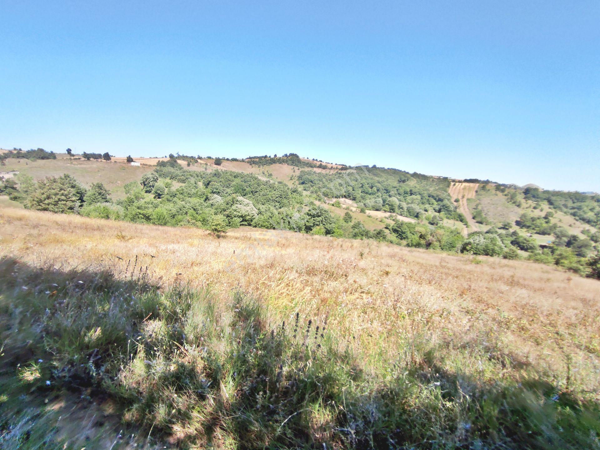Yenişehir Kirazlı Yayala Da Doğa Manzaralı - 2378 -m2- Tarla — fotoğraf 31