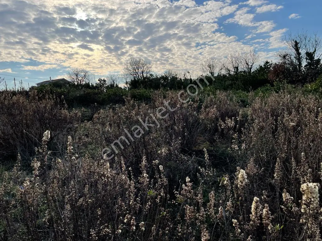 Beykoz Riva Denize Sıfır Konut + Turizm İmarlı Kupon Arsa — fotoğraf 7