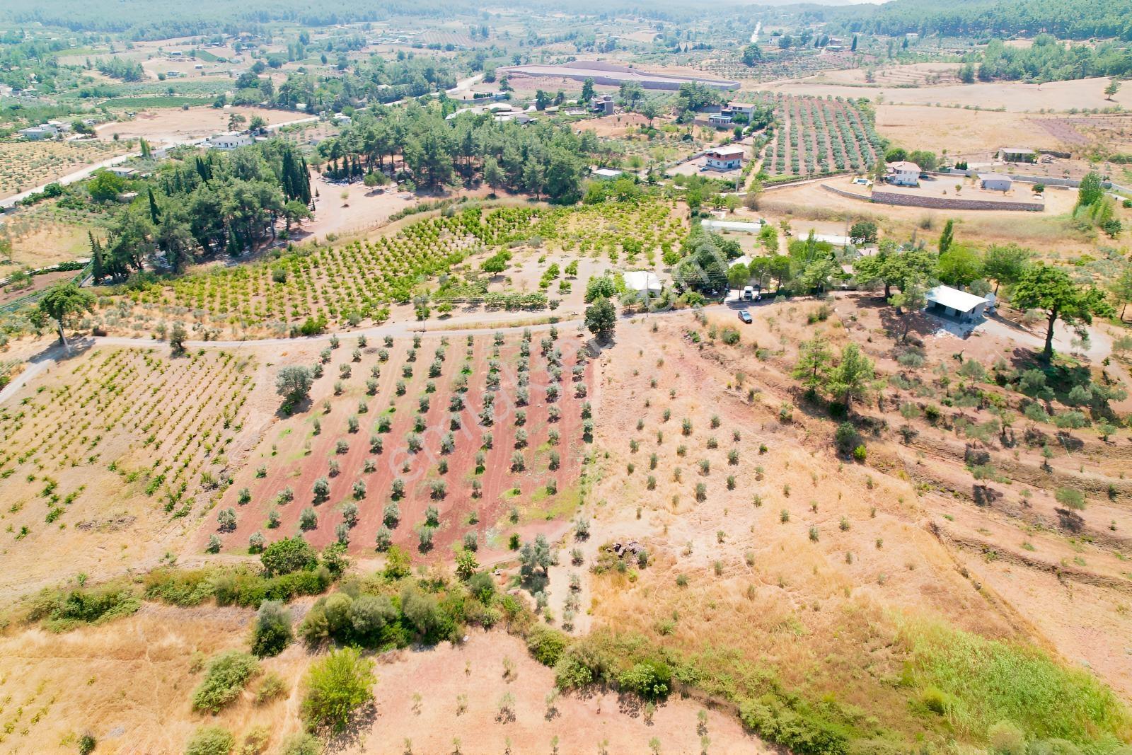 Pasifik'ten Menderes Yeniköy Köy Yerleşim Merkezi 4285 M² Arazi — fotoğraf 4