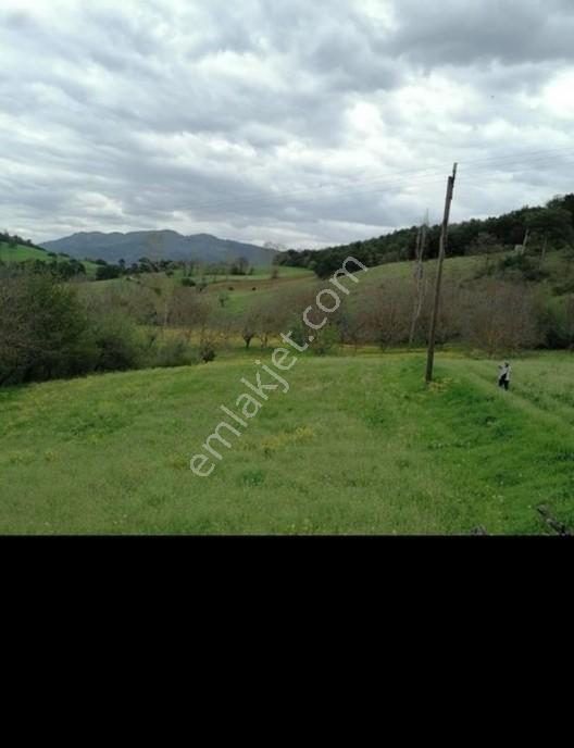 2 Dönüm İmarlı Köy İçi Fırsat Arsa — fotoğraf 2