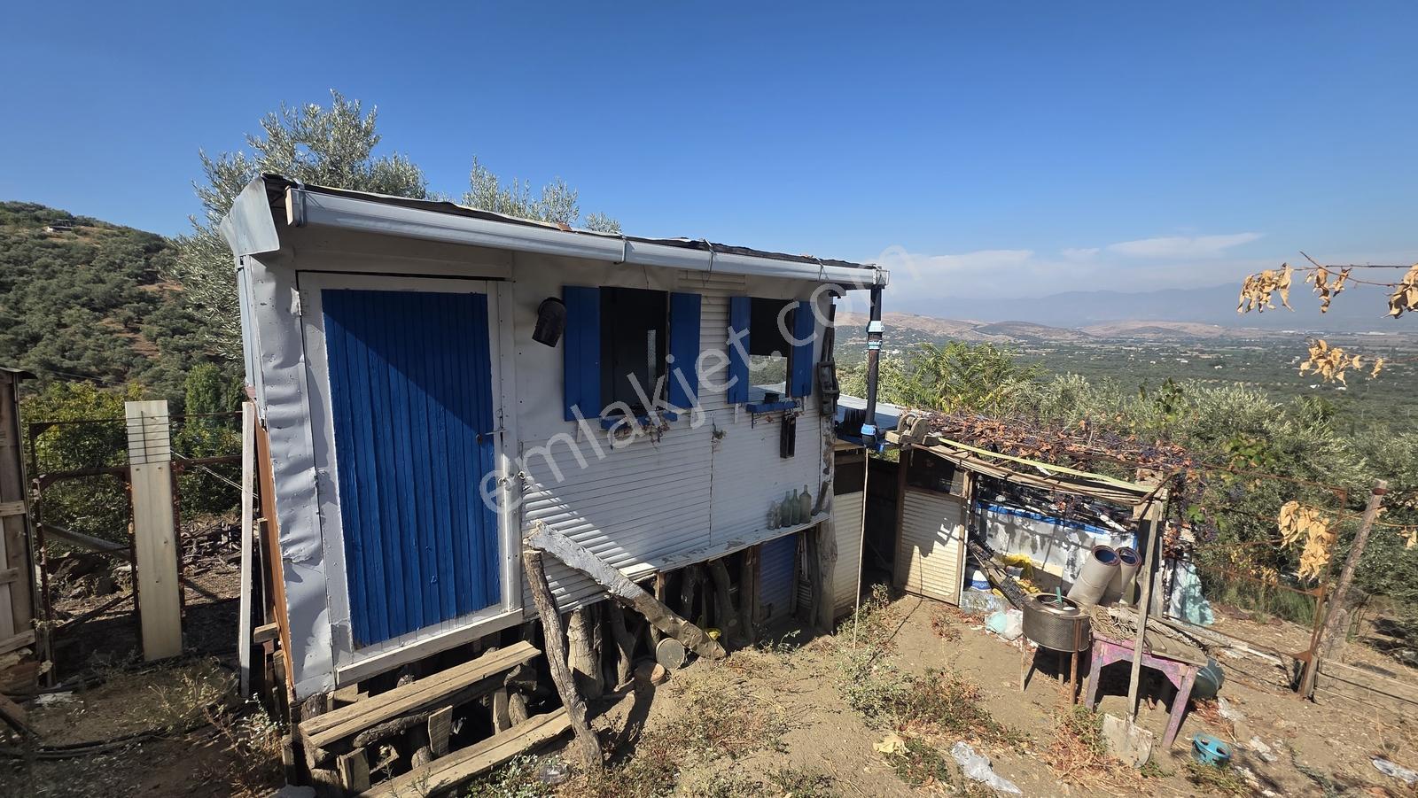 Tire Sb Emlak'tan Hisarlık Mahallesinde Satılık Zeytinlik — fotoğraf 5
