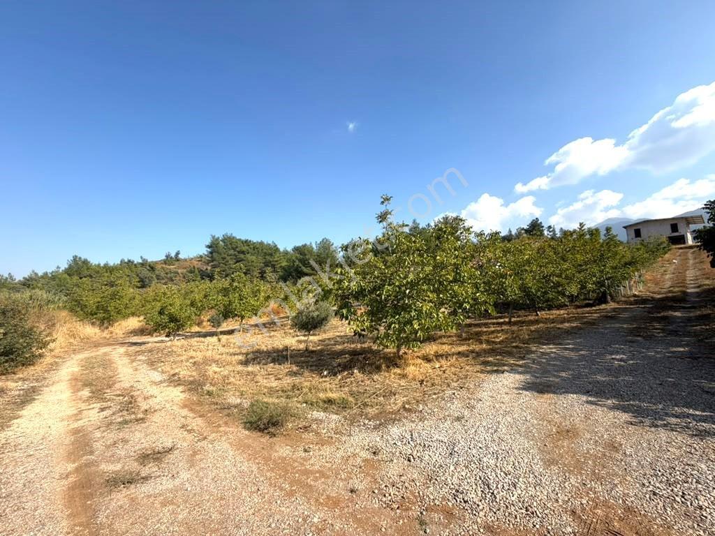 Kemalpaşa Yukarı Kızılca'da Elektrik Ve Suyu Olan 361m² Bahçe — fotoğraf 6
