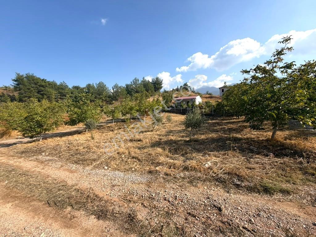 Kemalpaşa Yukarı Kızılca'da Elektrik Ve Suyu Olan 361m² Bahçe — fotoğraf 8
