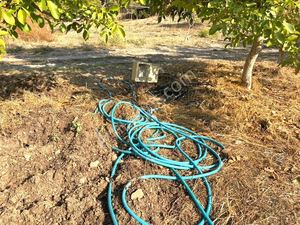 Kemalpaşa Yukarı Kızılca'da Elektrik Ve Suyu Olan 361m² Bahçe — fotoğraf 10