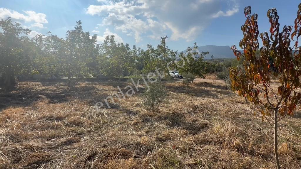 Kemalpaşa Yukarı Kızılca'da Elektrik Ve Suyu Olan 361m² Bahçe — fotoğraf 12