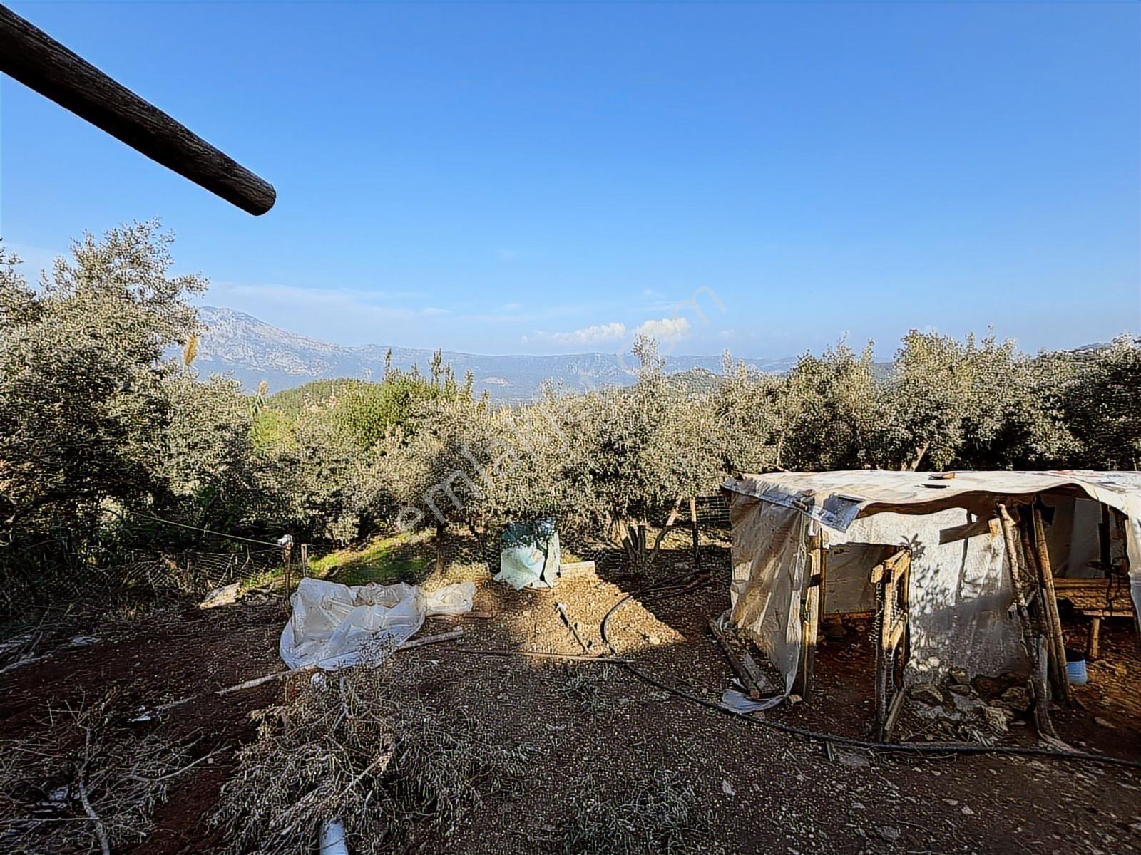 Usta Gayrimenkul'den Satılık Gökçepınar'da Ev Ve Arazisi — fotoğraf 13