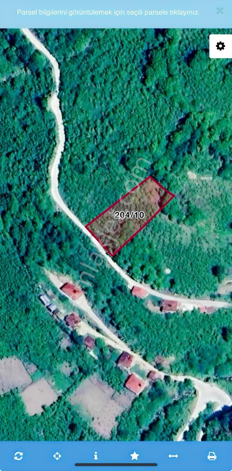 Hekimoğlundan Ortaköy De Yola Cepheli Fındık Bahçesi