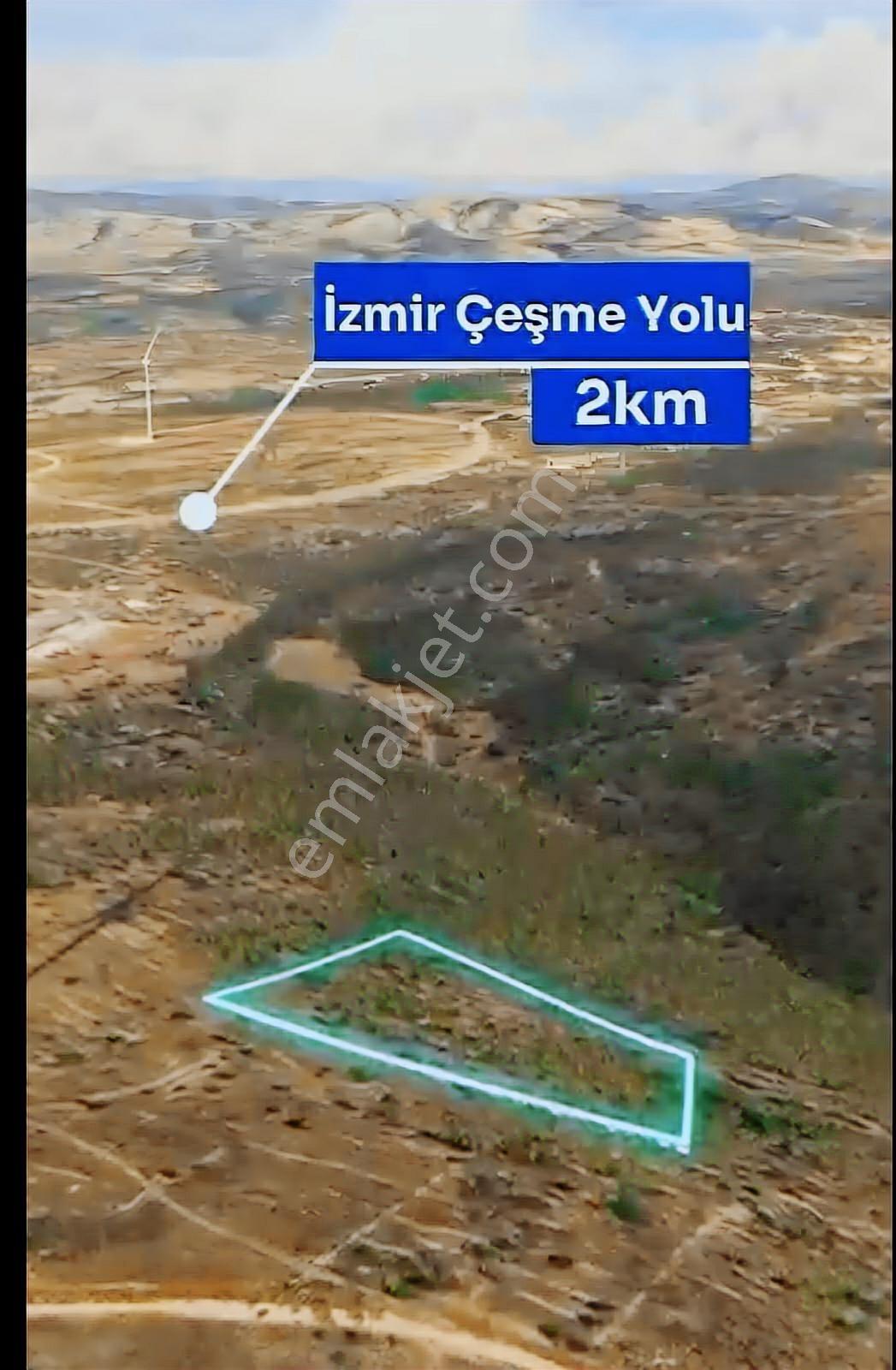 Çeşme Reisdere'de Tek Tapulu Zeytin Ağaçlı Satılık Tarla — fotoğraf 3