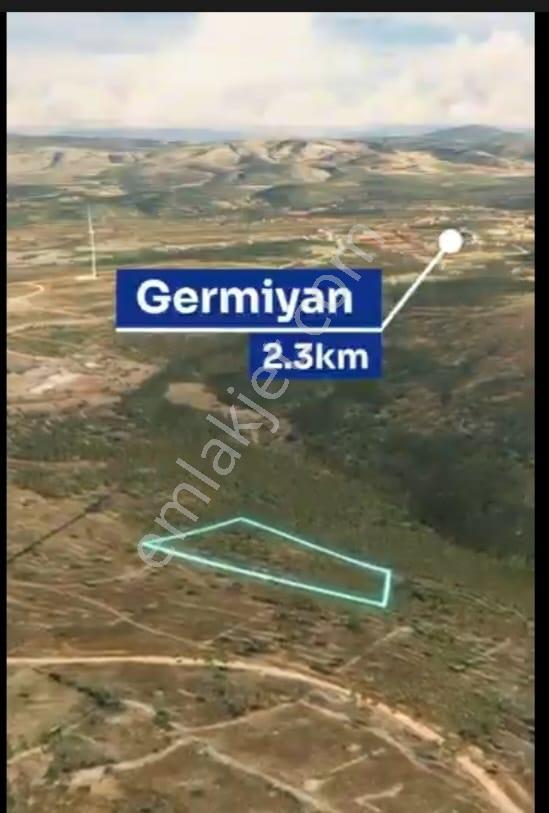 Çeşme Reisdere'de Tek Tapulu Zeytin Ağaçlı Satılık Tarla — fotoğraf 5