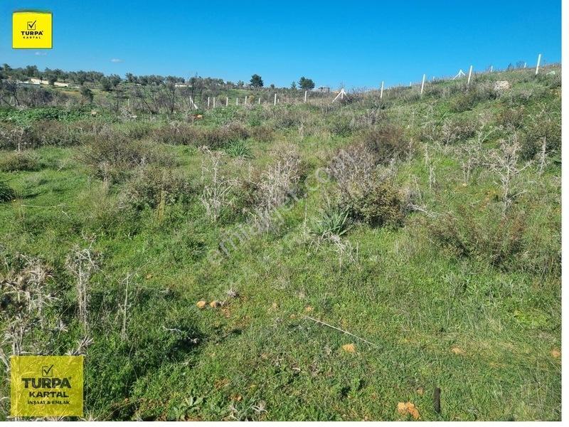 Satılık Arsa — fotoğraf 4