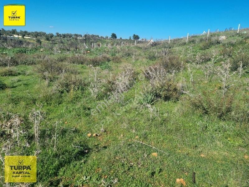 Satılık Arsa — fotoğraf 7