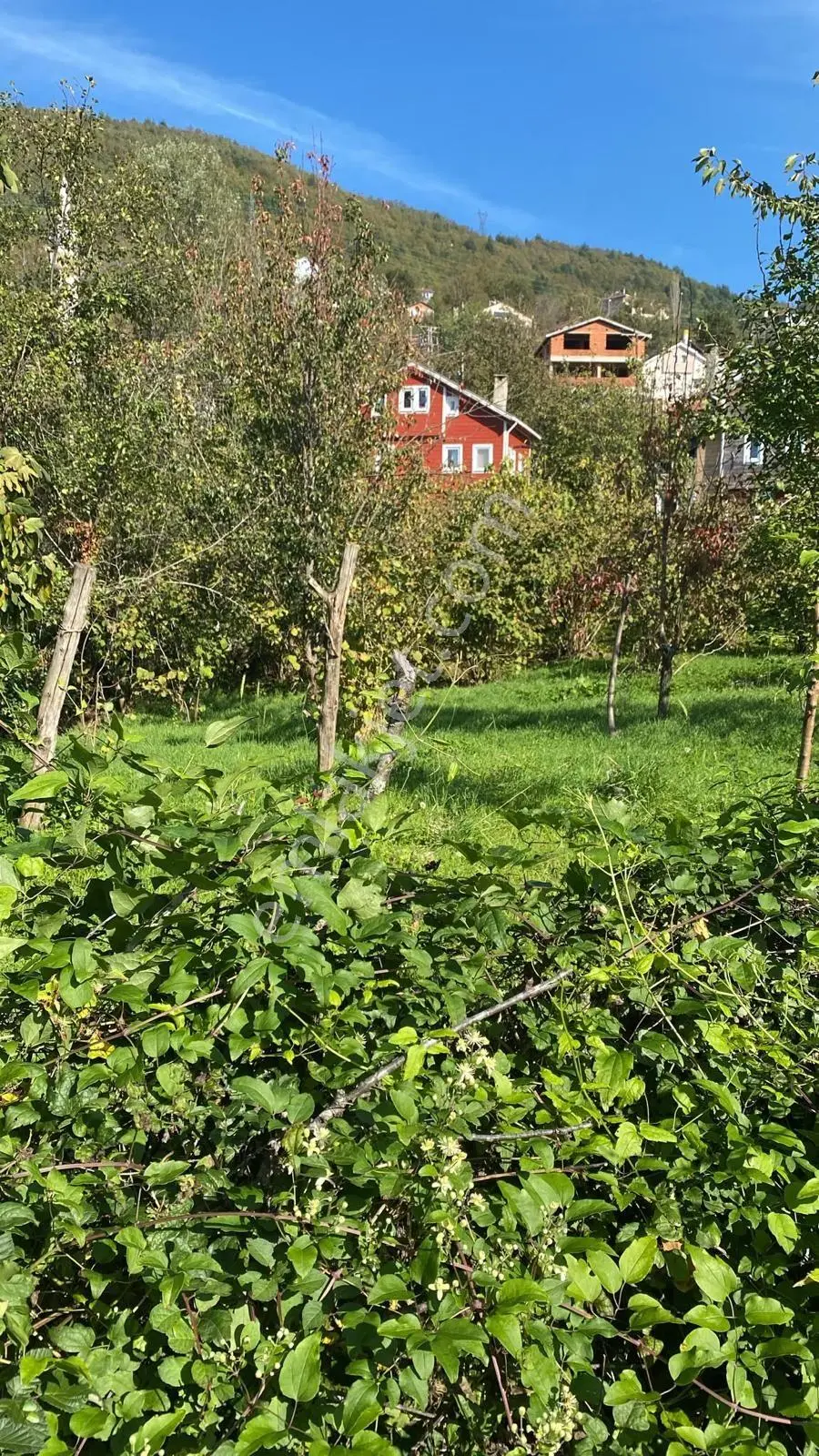 Akkonak Da Doğa Manzaralı 825 M² Satılık Tarla