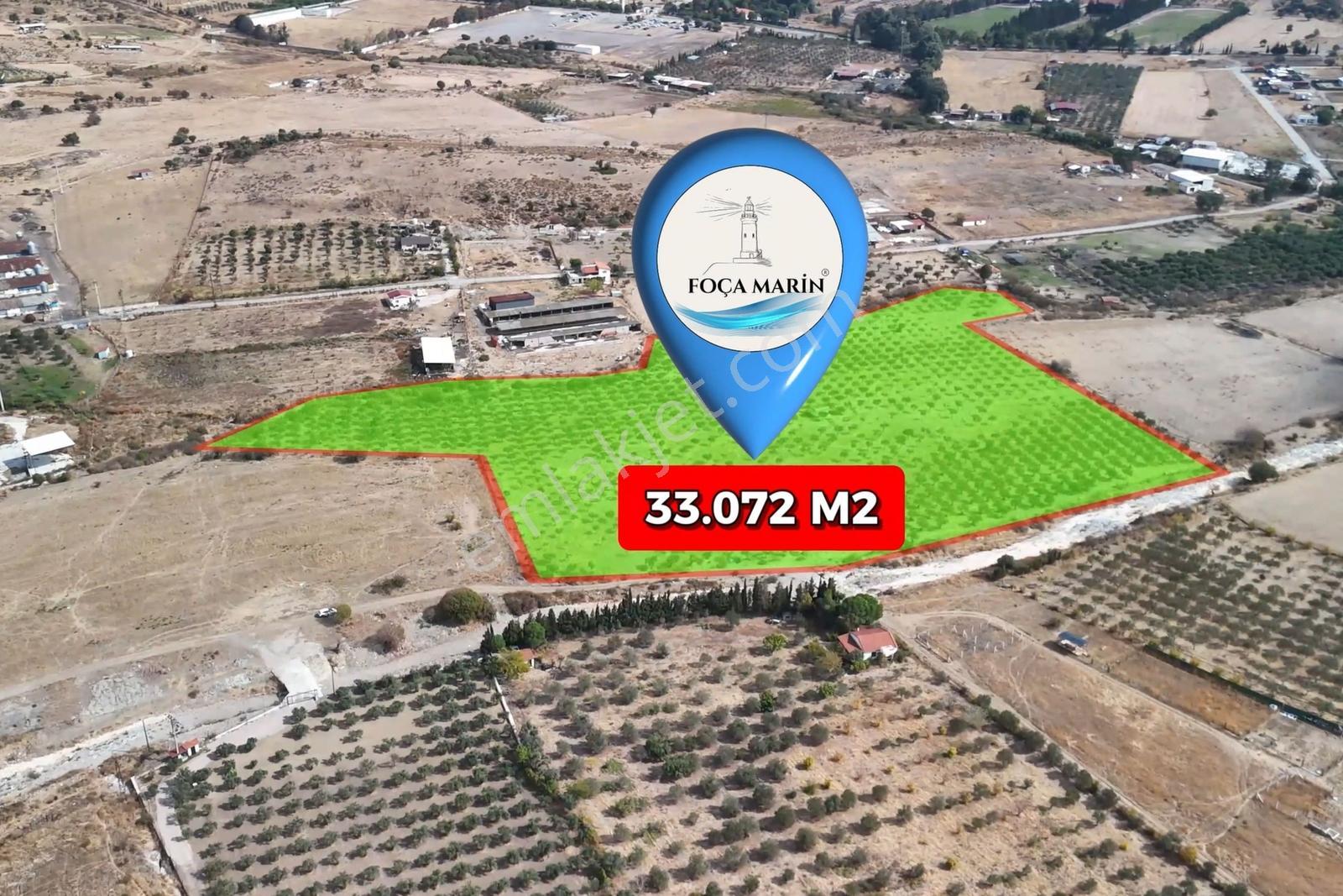 Merkeze Yakın-çok Amaçlı Kullanıma Uygun 33.072m2 Zeytinli Tarla — fotoğraf 2