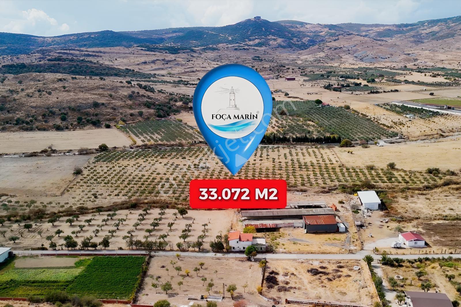 Merkeze Yakın-çok Amaçlı Kullanıma Uygun 33.072m2 Zeytinli Tarla — fotoğraf 4