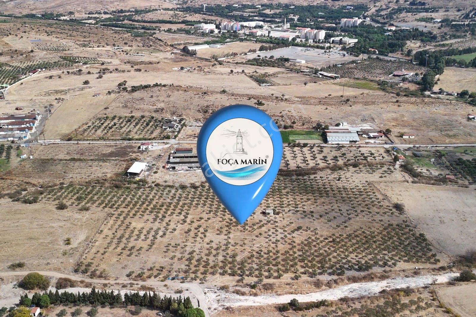 Merkeze Yakın-çok Amaçlı Kullanıma Uygun 33.072m2 Zeytinli Tarla — fotoğraf 7