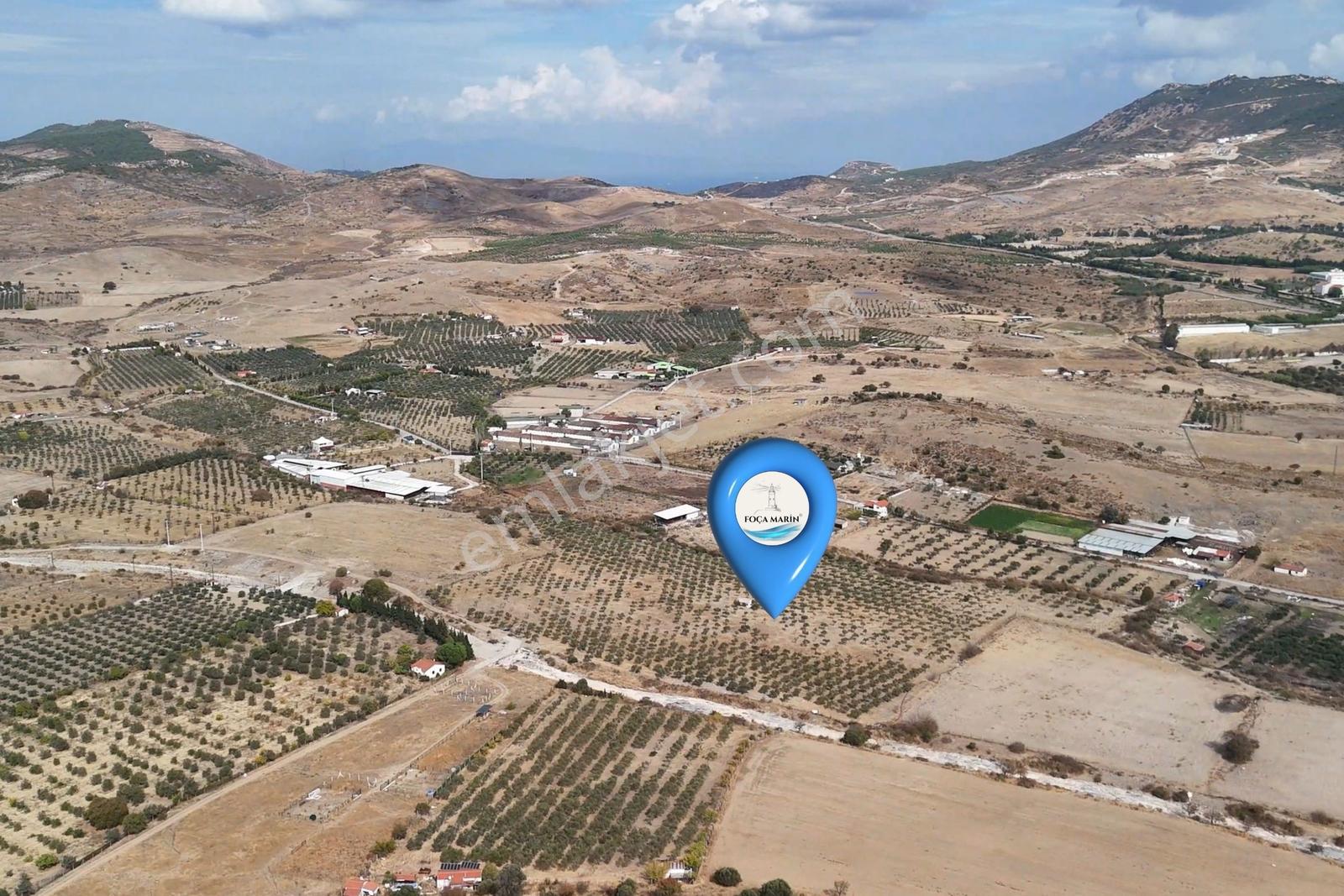 Merkeze Yakın-çok Amaçlı Kullanıma Uygun 33.072m2 Zeytinli Tarla — fotoğraf 8