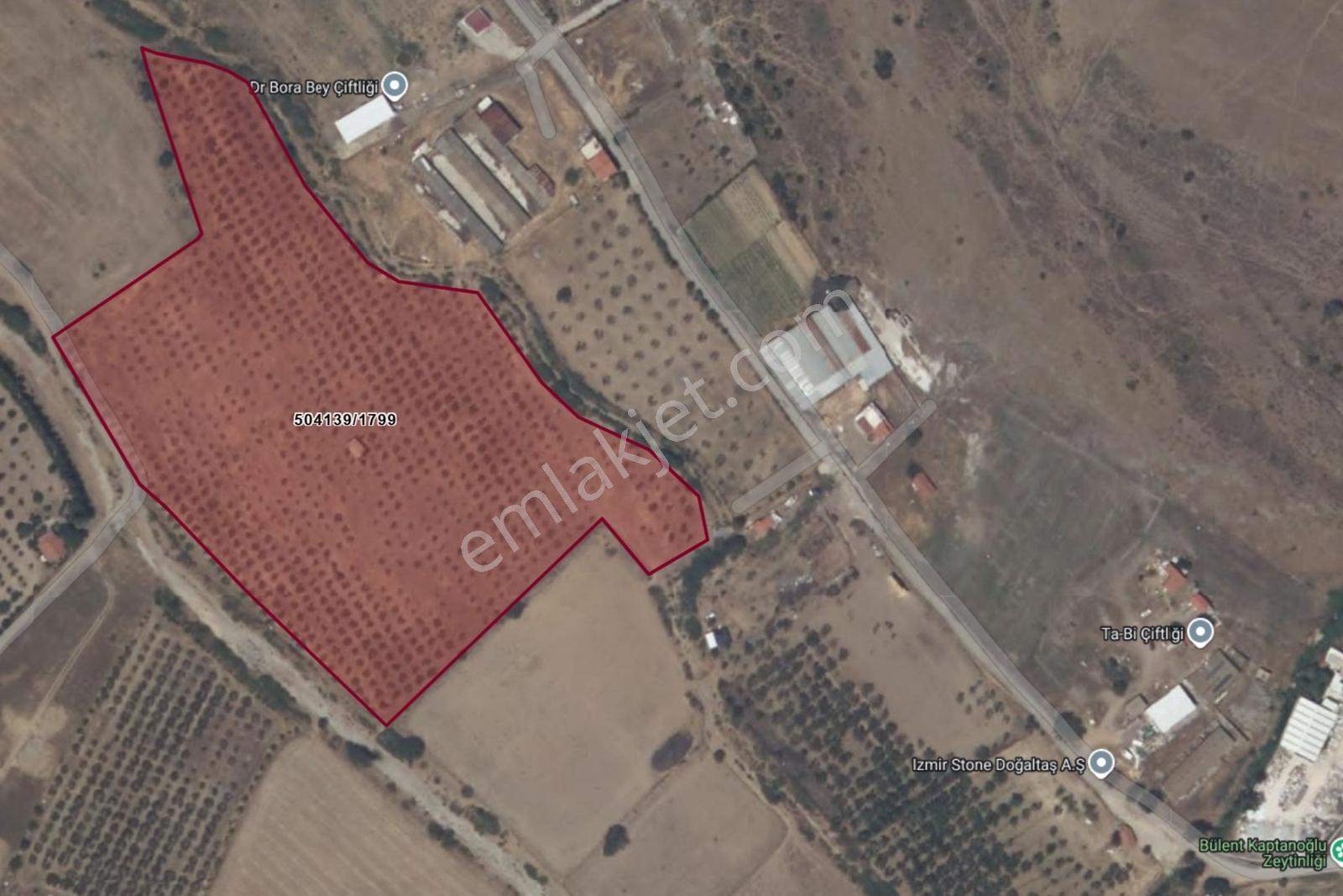 Merkeze Yakın-çok Amaçlı Kullanıma Uygun 33.072m2 Zeytinli Tarla — fotoğraf 9