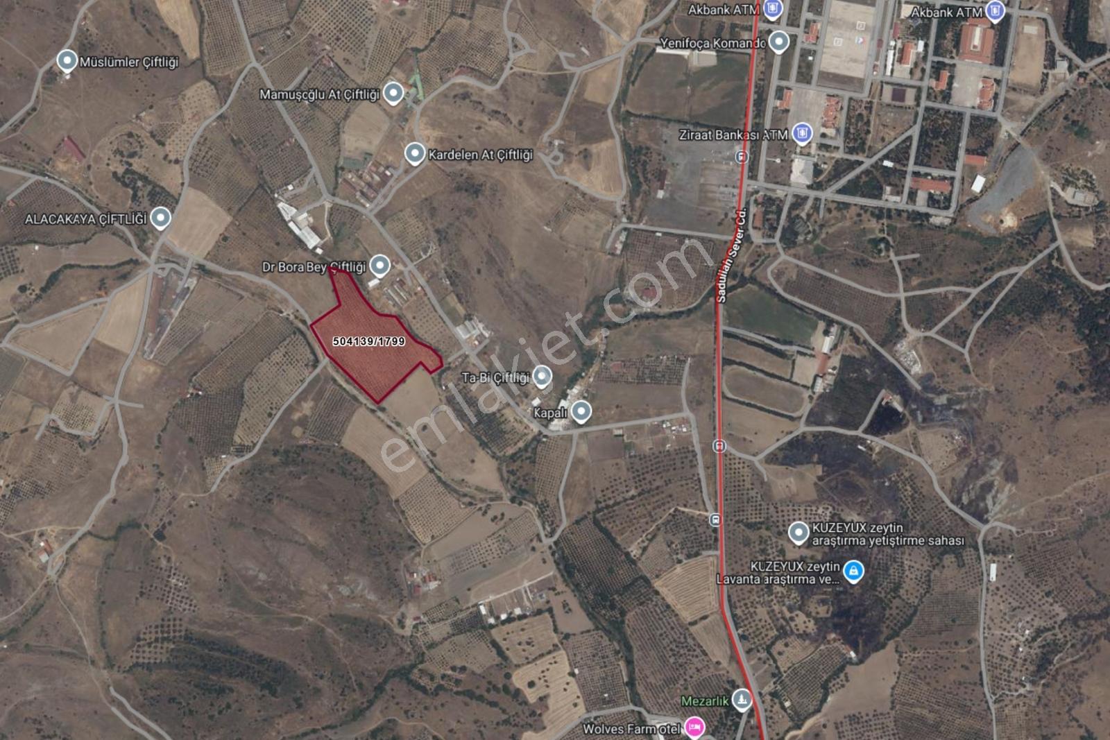 Merkeze Yakın-çok Amaçlı Kullanıma Uygun 33.072m2 Zeytinli Tarla — fotoğraf 10